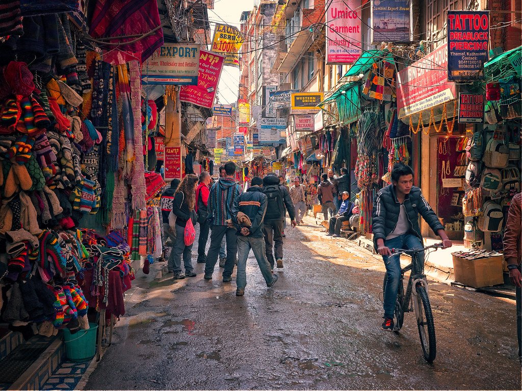 Dazzling Duck Handcrafted Nepal 3