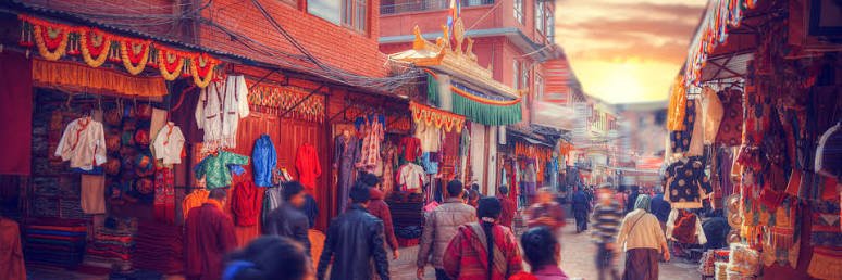 Dazzling Duck Handcrafted Nepal 4